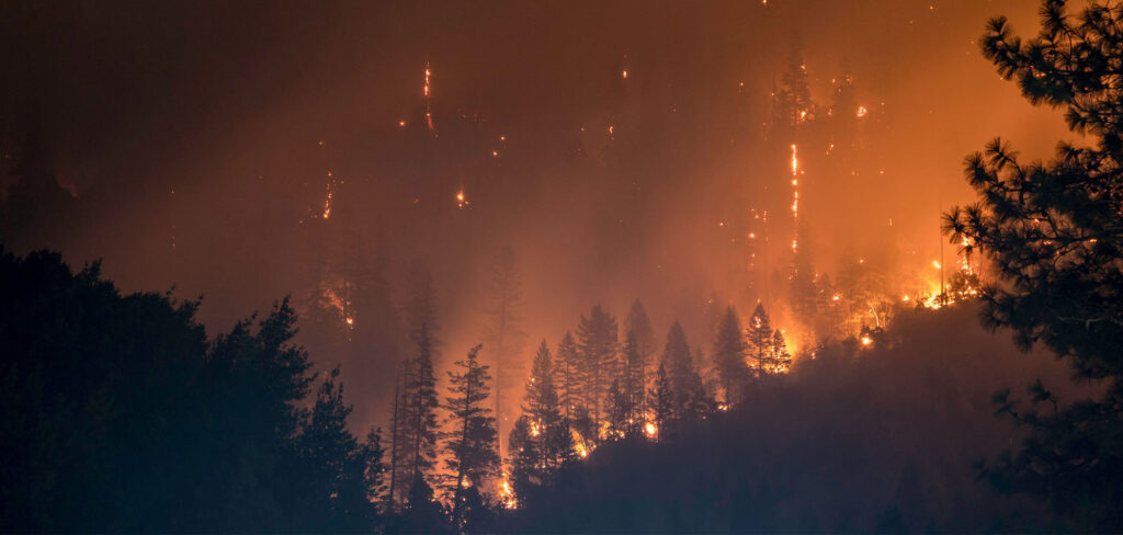 Wildfire crisis strategy, a forest fire raging at night