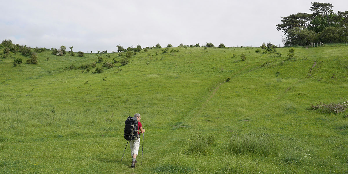 A woman hikes alone across a grassy field